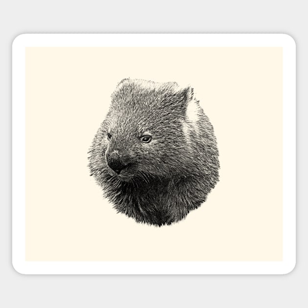 Wombat Sticker by Guardi